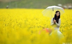 日本一姐潮水RAPPER太多